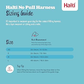 Halti No Pull Dog Harness - Medium - Company of Animals