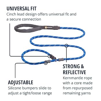 Ruffwear Just-A-Cinch Dog Leash - 2-in-1 Slip Lead Collar Combination - Blue Pool