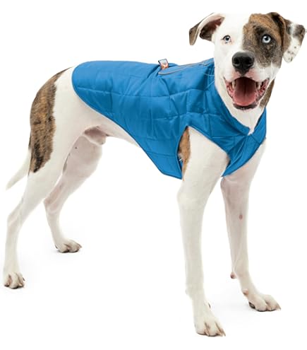 RC Pet Products Quilted Nimbus Puffer Dog Coat, Graphite/Lime, Size 28