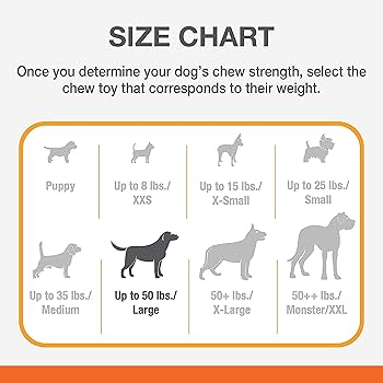 Nylabone Puppy Power Chew Toy - Textured Nylon Bone, Beef Broth & Vegetables Flavor, Large (Up to 50 lbs)