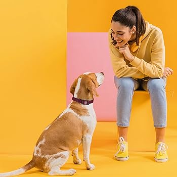Dogline Biothane Waterproof Dog Collar - Strong, Odor-Proof, Easy Clean (Fits Small to Large Dogs)