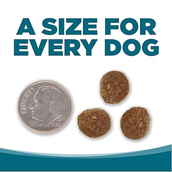 NutriSource Adult Chicken & Rice Dry Dog Food, 4 lb Bag