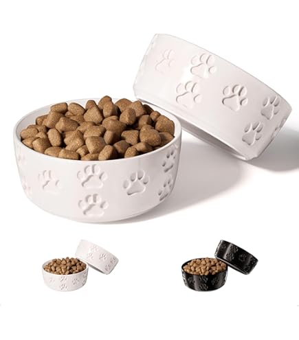 Ethical Pet Spot Sedona Dog Dish - 5 inch, Chestnut Brown