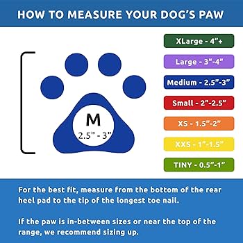 Pawz Rubber Dog Boots - Black, Medium, 12 Count - Waterproof Paw Protection