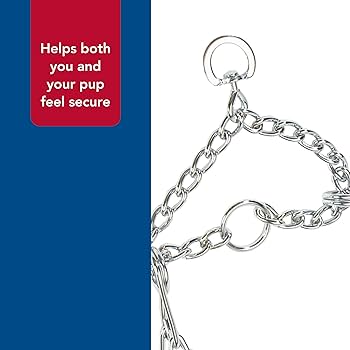 Coastal Pet Titan Dog Prong Training Collar - 2.0mm x 14" Chrome - Fine Prong