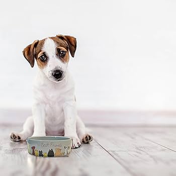 Ethical Pet Spot Best Friends Dog Dish - 5 inch Ceramic Pet Bowl