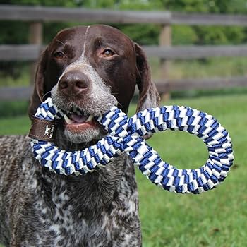 Tall Tails Dog Braided Infinity Tug Toy - Navy - 11 Inch