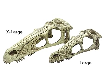 Komodo Raptor Skull Reptile Hideout - Large, Tan Terrarium Decoration