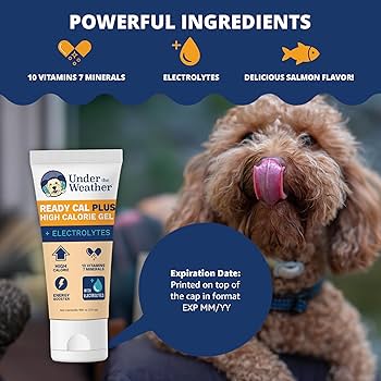 Under the Weather Ready Cal Plus High-Calorie Supplement Gel for Dogs & Puppies with Electrolytes - 3.5 Oz Tube