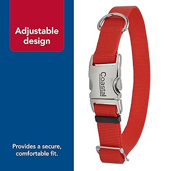 Coastal Pet Adjustable Dog Collar, Metal Buckle, Red, 1" x 18-26"