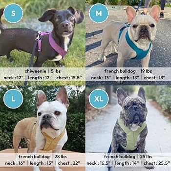 Gooby Comfort X Harness - Dual Snap, Purple, X-Large - No Pull Dog Harness
