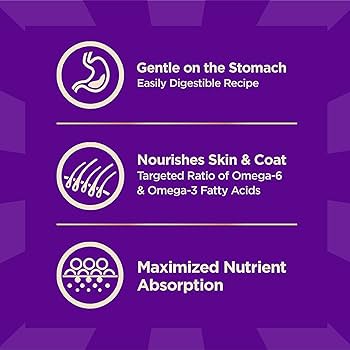 Wellness CORE+ Sensitive Skin & Stomach Salmon & Rice Dry Dog Food, 4 lb Bag