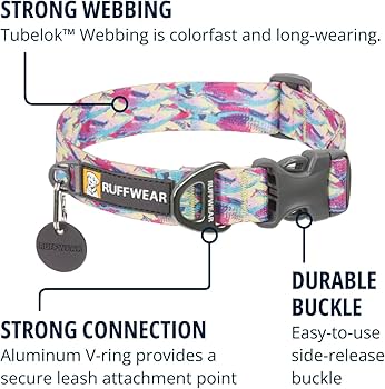 Ruffwear Front Range Dog Collar - River Rock Green - Small 11-14" Durable Everyday Collar