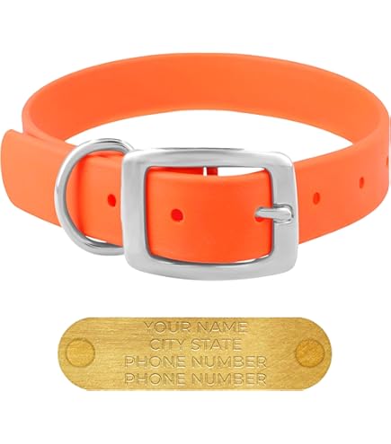 Dogline Biothane Waterproof Dog Collar, Strong Coated Nylon, Black Hardware