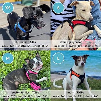 Gooby Escape Free Easy Fit Dog Harness - Red, Small - No-Pull Step-in, Patented, Quick Release Buckle