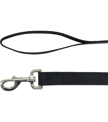 Coastal Inspire Dog Leash - Green, 1 in x 6 ft, Neoprene Comfort Grip