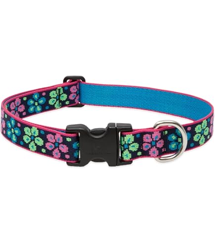 LupinePet Originals Sea Glass Dog Collar - 1" Wide, Adjustable 16-28" - Large Dogs