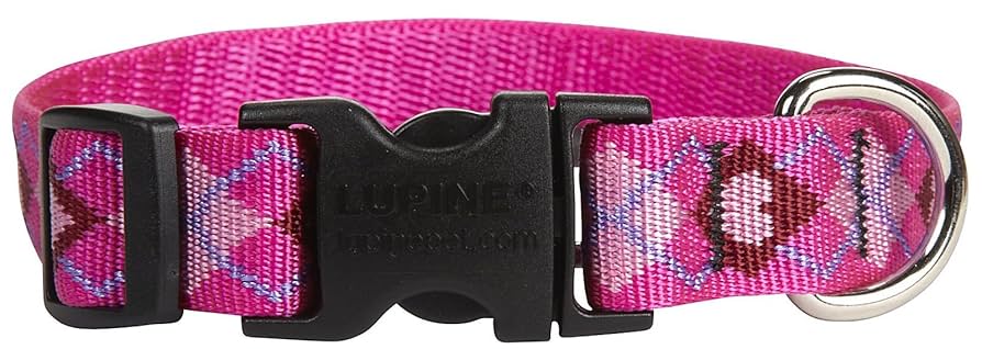 LupinePet Originals Puppy Love Dog Collar - 3/4 inch - Fits 9-14 inch Necks