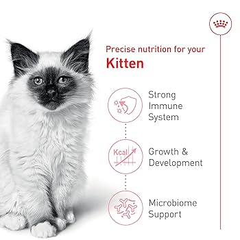 Royal Canin Feline Health Nutrition Kitten Dry Cat Food, 7 lb Bag
