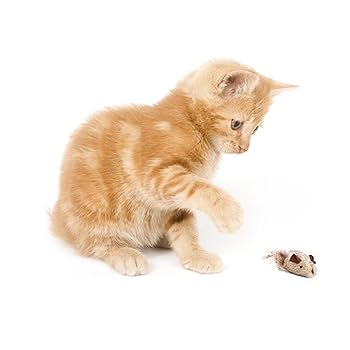 OurPets Play-N-Squeak Shake y'r Tail Feather Catnip Mouse Cat Toy