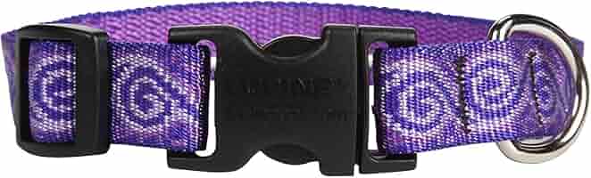LupinePet Originals Jelly Roll Dog Collar 3/4" Wide, Adjustable 13-22"
