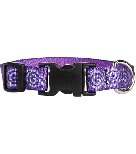 LupinePet Originals Dapper Dog Collar - 3/4 Inch, 9-14 Inch Adjustable