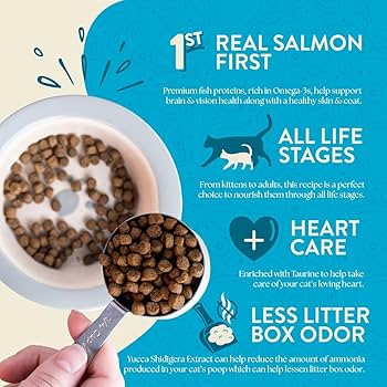 Earthborn Holistic Wild Sea Catch Grain-Free Dry Cat Food, 12.5 lb Bag