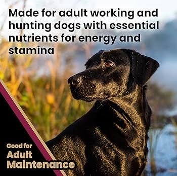 VICTOR Realtree Edge Energy Dog Food - Super Premium, High Protein, Gluten-Free - 40lb Bag