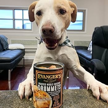 Evanger's Roasted Chicken Drumettes Canned Dog Food, 12 oz Single Can