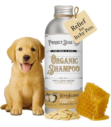 Project Sudz Hypoallergenic Liquid Dog Shampoo - Oatmeal & Honey - 10 oz