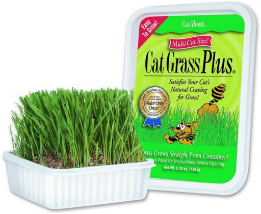 Gimborn Gimpet Cat Grass Plus - Easy to Grow, 150g Tub - Natural Digestion Aid for Cats
