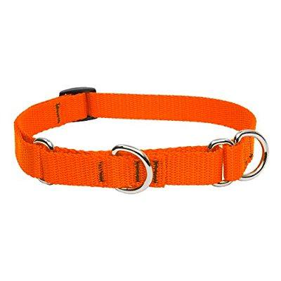 lupinepet basics 3/4 blaze orange 14-20 martingale collar...