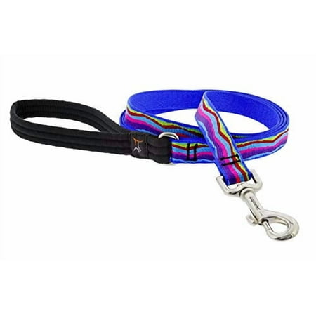 LupinePet Ripple Creek Dog Leash 3/4 inch x 6 ft - Padded Handle
