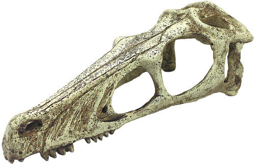 Komodo Raptor Skull Reptile Hideout - XL - Dinosaur Decor for Reptile Terrarium