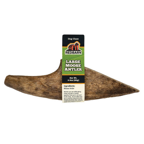 Redbarn Moose Antler Dog Chew - Large, Natural, Long Lasting