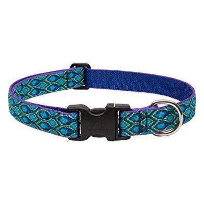 LupinePet Originals Rain Song Dog Collar, Adjustable Nylon, 1" Wide, 16-28"