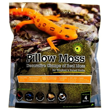 Galapagos Pillow Moss - 4 qt Natural Terrarium Moss for Tropical & Forest Tanks