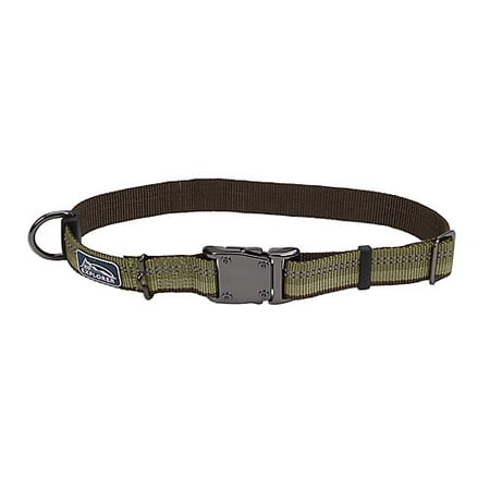 K9 Explorer Reflective Dog Collar, 1" Wide, Adjustable 12-18"