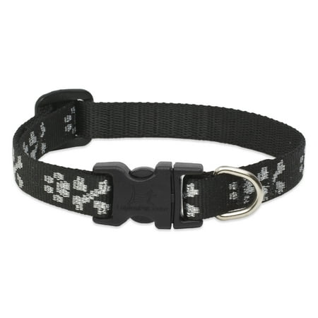 LupinePet Originals Bling Bonz 1/2" Adjustable Dog Collar, 8-12" - Small Dogs
