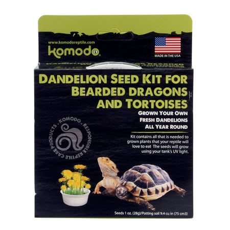 Komodo Grow Your Own Dandelion Seed Kit - Reptile Food for Bearded Dragons & Tortoises (6.5 inch)