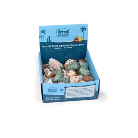 Hermit Crab Shells - Medium Size, Bulk Pack