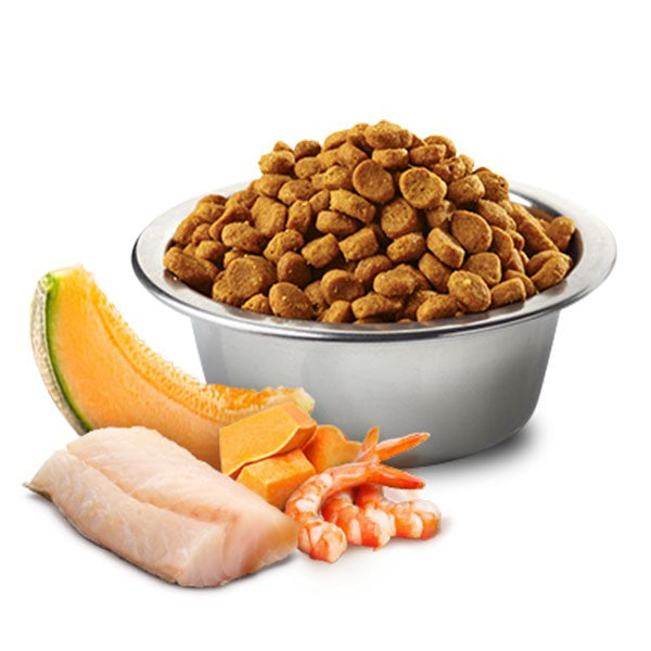 Farmina N&D Ocean Kitten Food - Cod, Shrimp, Pumpkin, Cantaloupe - 5kg - Grain-Free