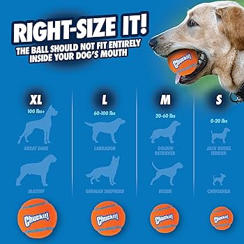 Chuckit! Large Tennis Ball Dog Toy, Hi-Visibility, Extra Thick, 3" Diameter, Single Pack