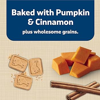 Blue Buffalo Health Bars Dog Treats, Pumpkin & Cinnamon, 16 oz