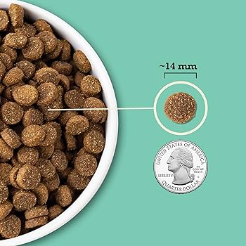 Acana Wholesome Grains Lamb & Pumpkin Recipe, Limited Ingredient Dry Dog Food, 4 lb Bag