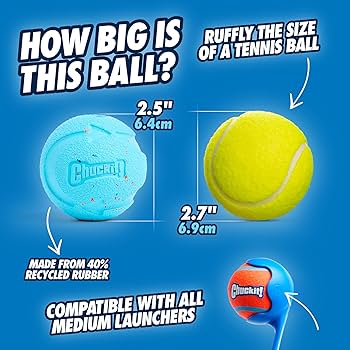 Chuckit! Rebounce Ball Medium - Recycled Rubber Dog Toy, 2-Pack (Launcher Compatible)