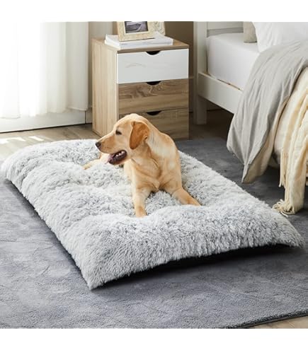 DGS Dirty Dog Lounger Bed - Small, Cool Grey, 22 x 20 Inches