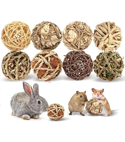 Ware Willow Chew Cube - Small Animal Toy & Treat