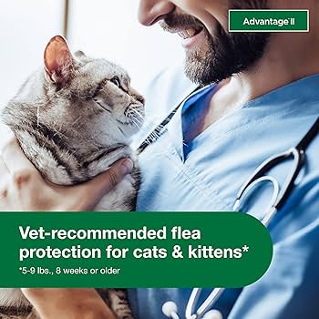 Advantage II Small Cat Flea Treatment (5-9 lbs) - 2 Month Supply