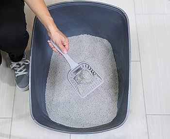 Petmate Jumbo Hi-Back Open Cat Litter Pan - Blue Steel, 24x19x18.5"